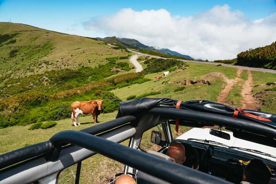 From Funchal: Porto Moniz and Seixal Day Tour by Jeep - Seixal, Ribeira Brava, São Vicente, and the Bridal Veil Falls