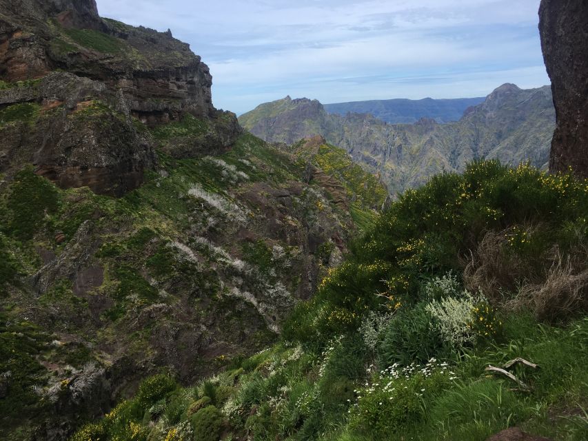 From Funchal: Santana and Pico do Areeiro East Island Tour - Key things that make this tour work