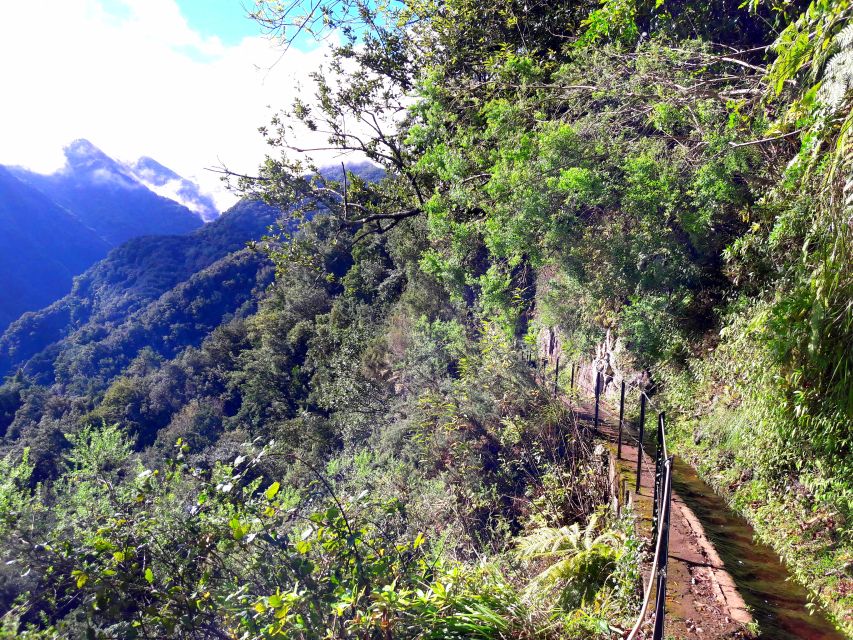From Funchal: São Jorge Valleys Levada Walk - Key things that make this levada walk worth your time