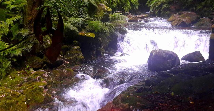From Funchal: São Jorge Valleys Levada Walk - Levada do Rei and the waterfall passages you’ll remember