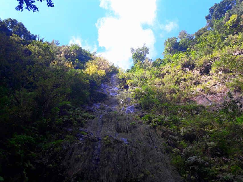 From Funchal: São Jorge Valleys Levada Walk - Guide tips and group pace: how to make it your day, not a traffic jam