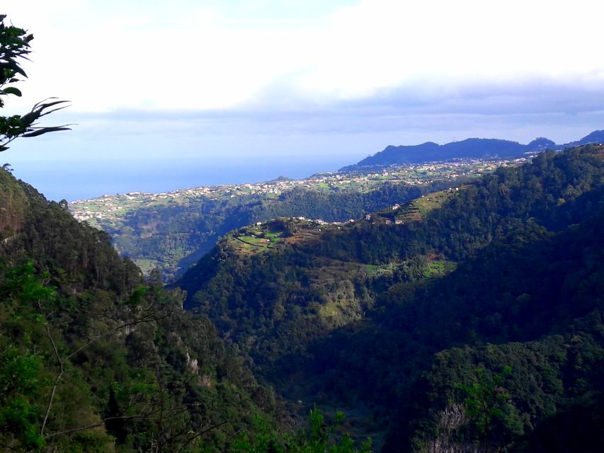 From Funchal: São Jorge Valleys Levada Walk - What to bring for levada trails: shoes, water, and rain gear
