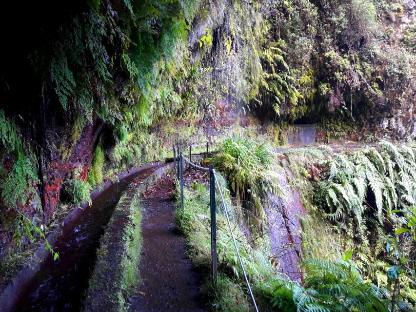 From Funchal: São Jorge Valleys Levada Walk - Price and value: is $50 a good deal for this kind of day?
