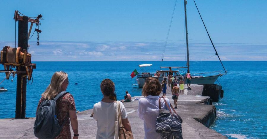 From Funchal: West Bays Sailing Tour with Lunch - Wildlife search up to 3 miles out: dolphins, whales, and sea turtles