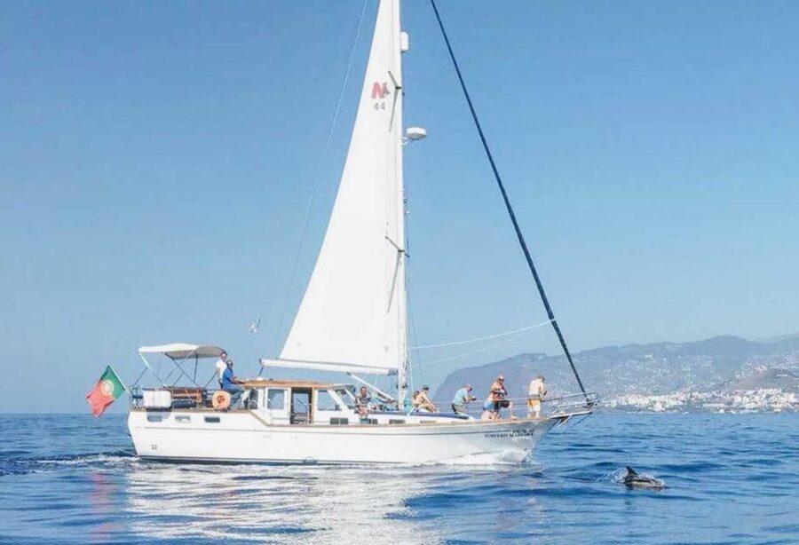 From Funchal: West Bays Sailing Tour with Lunch - West coast views in a 5-hour loop: Ponta do Sol to Ribeira Brava and beyond