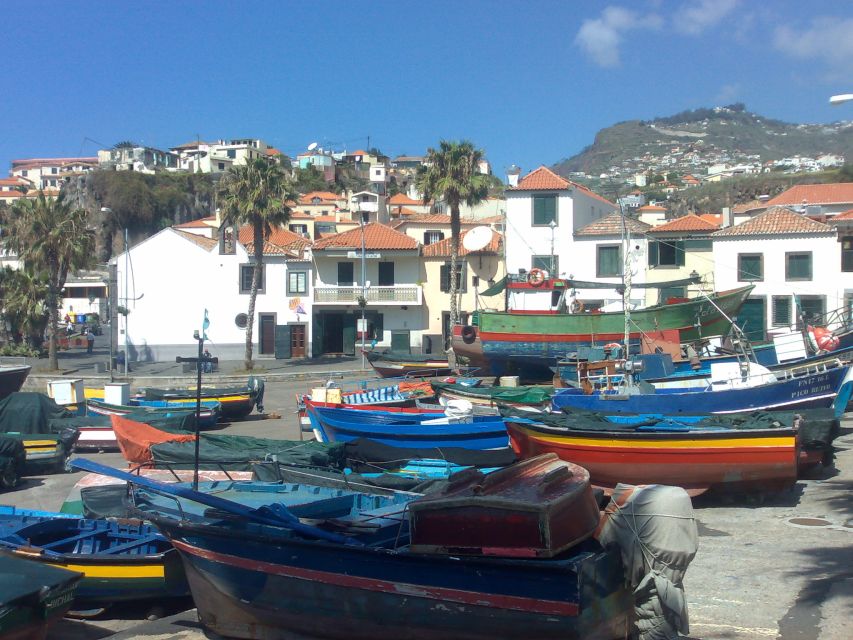 From Funchal: West Madeira Waterfalls and Fanal Forest Tour - Porto Moniz Natural Swimming Pools: Lunch Plans, Swim Time, and Volcanic Rock