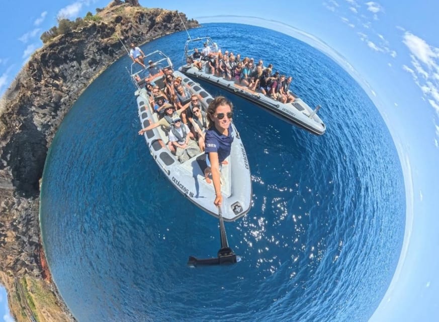 From Funchal: Whale and Dolphin Watching - Safety and Comfort on a Speedboat That Can Get Wet