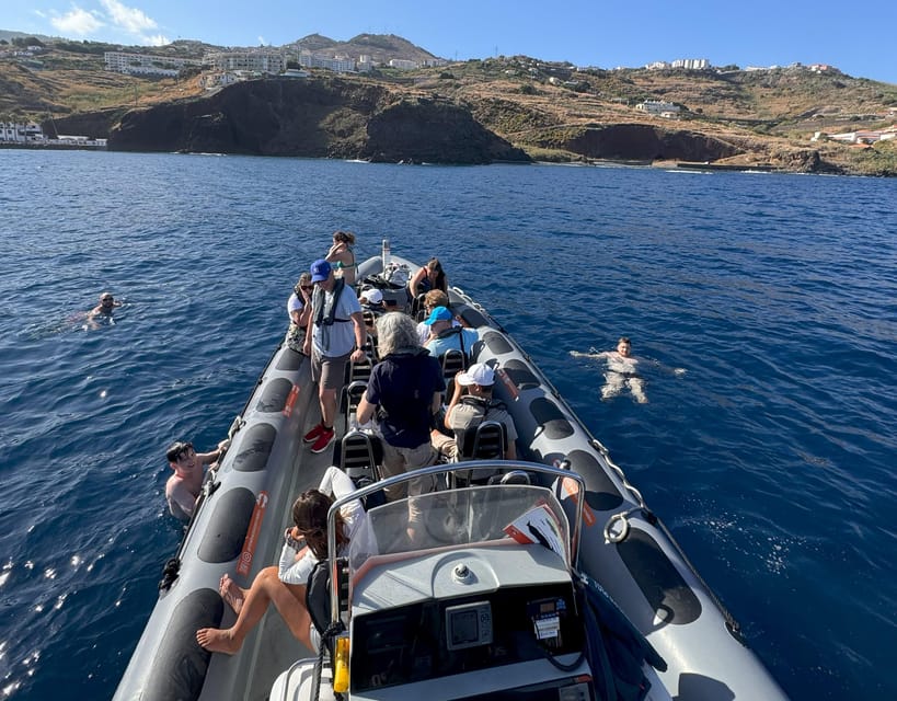 From Funchal: Whale and Dolphin Watching - Price and Value: What $56 Buys You in Madeira