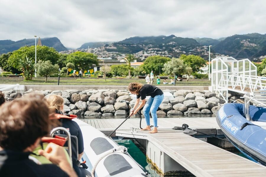From Funchal: Whales and Dolphin Adventure Tour - Two Hours Offshore, With the Island Speedboat View