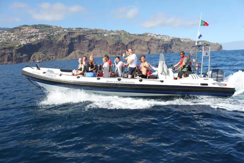 From Funchal: Whales and Dolphin Adventure Tour - The Boat Cruise Around Madeira: Where Sightings Happen