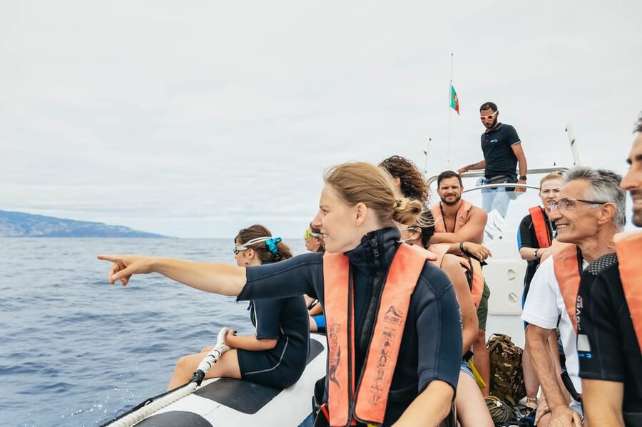 From Funchal: Whales and Dolphin Adventure Tour - Watching Dolphins and Whales Without Chasing Them