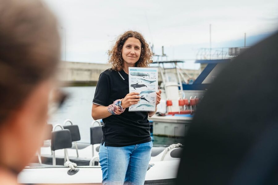 From Funchal: Whales and Dolphin Adventure Tour - What the Itinerary Feels Like, Stop by Stop
