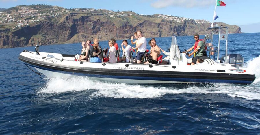 From Funchal: Whales and Dolphin Adventure Tour - The Starting Point at Blue Safari Madeira, What to Do First