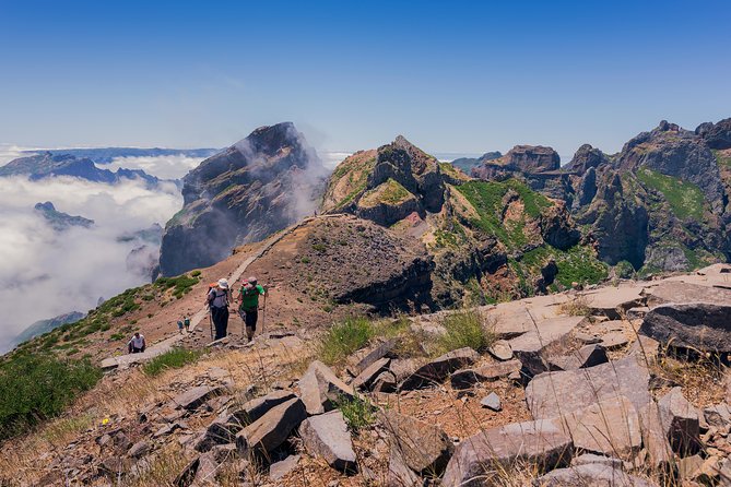 Full Day East of Madeira Tour - Ribeiro Frio and the Laurissilva levada walk