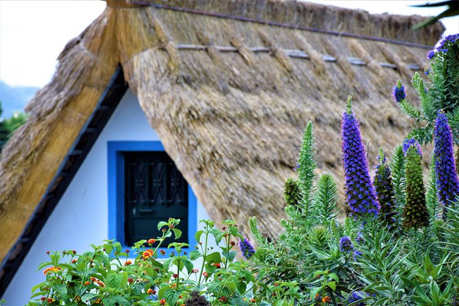 Full Day - Madeira East - The Big Picture: What This 8-Hour East Tour Really Does
