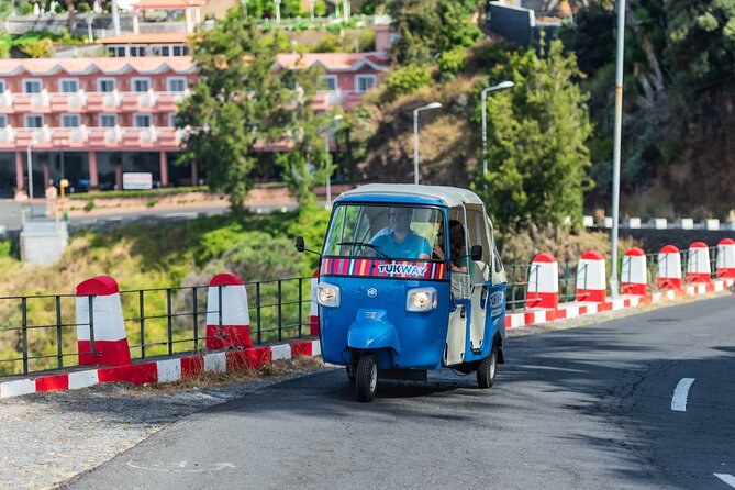 Full Day Madeira Island Private Discovery by Tuk Tuk - Madeira Botanical Garden: one more garden hour, then back to views