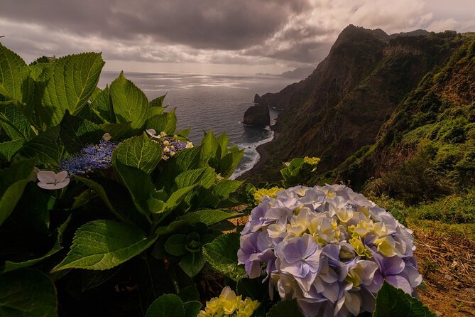 Full Day Madeira Island Tour - Open Roof - Ponta do Sol and the sunshine math