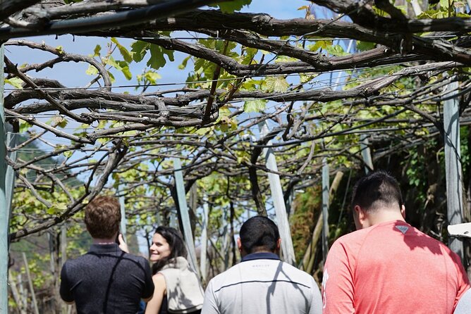Full-Day Madeira Wine Tasting Tour with Lunch - Guides make the difference, and it shows in the reviews