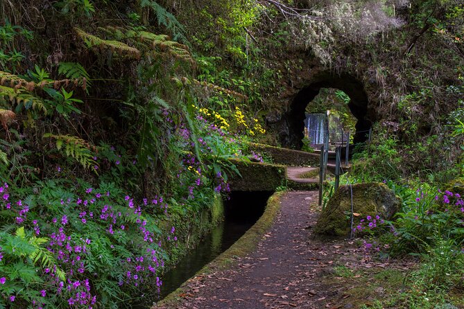 Full Day of Wonders: Madeira 4x4 Private Tour - Misty forests and levadas: the slow, peaceful part that pays off