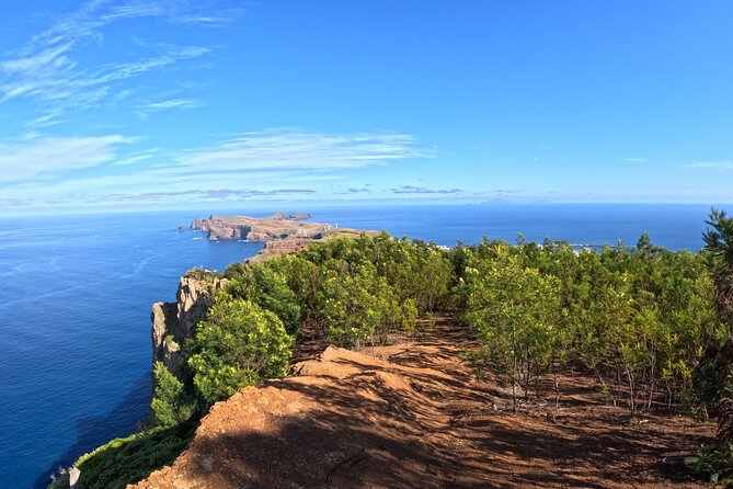 Full Day of Wonders: Madeira 4x4 Private Tour - Wildlife and small surprises: the moments between the big vistas