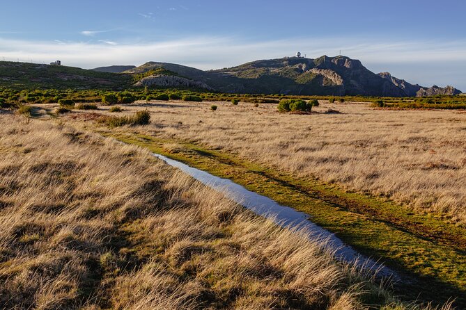 Full Day of Wonders: Madeira 4x4 Private Tour - Off-road ride into nature, with views that do not need permission