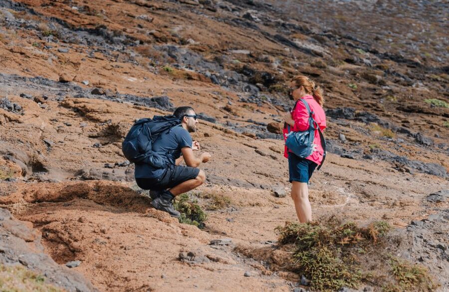 Full Day Ponta de São Lourenço - Natural Reserve - Who should book this, and who should skip it