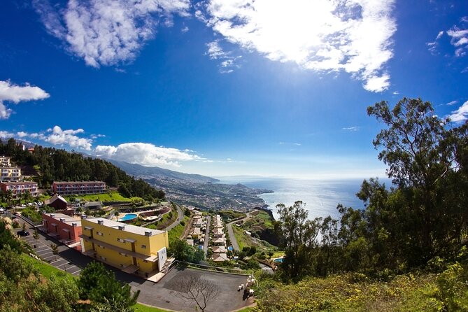 Full-Day Porto Moniz Madeira Island Tour - Pickup and timing: getting out of Funchal without losing the day