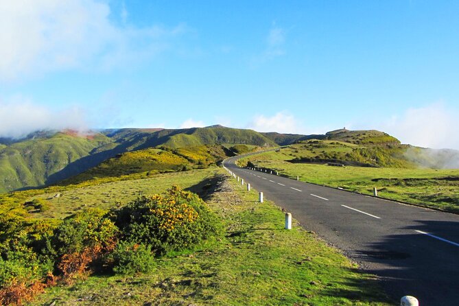 Full-Day Porto Moniz Madeira Island Tour - Fanal UNESCO laurel forest: the included nature break