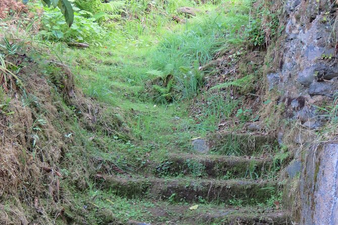 Full Day Private 4x4 Adventure in Madeira - Paul da Serra and the high-plateau feeling