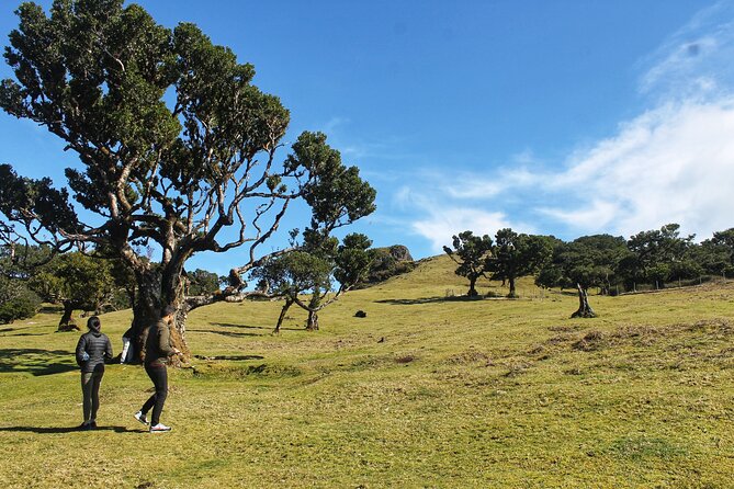 Full Day Private 4x4 Tour in West Madeira with Local Guide - Serra de Água and the Encumeada pass: water power and big coast views