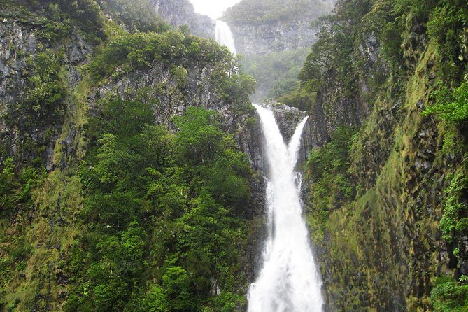 Full-Day Rabaçal Levada Walk from Funchal - From Funchal to Rabacal, this is a hike with a plan