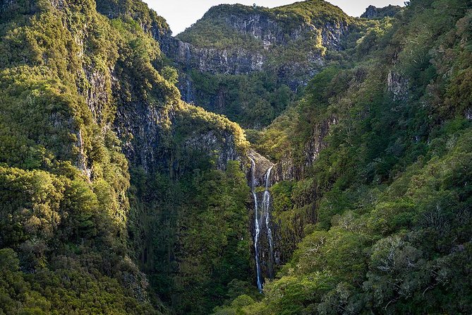 Full-Day Rabaçal Levada Walk from Funchal - Pickup, timing, and what “full day” really means