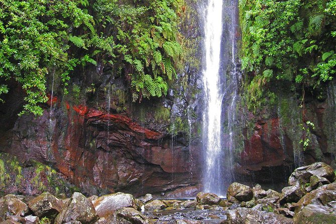 Full-Day Rabaçal Levada Walk from Funchal - Risco waterfall: your first major payoff