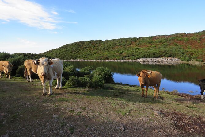 Full Day Tour in 4x4 Jeep to Porto Moniz and Fanal - Serra de Água and Tabua, small villages that slow the pace