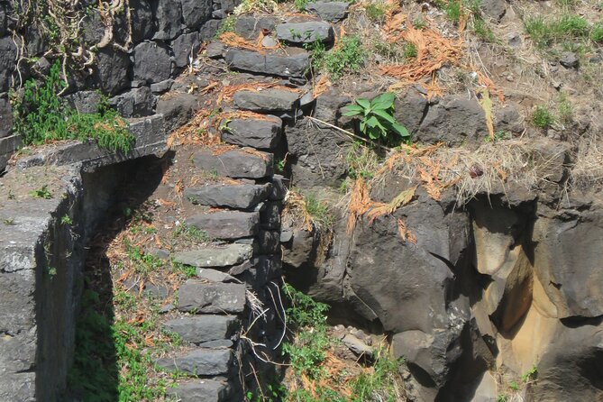 Full Day Tour in 4x4 Jeep to Porto Moniz and Fanal - Seixal, Poca das Lesmas black sand, and Véu da Noiva views