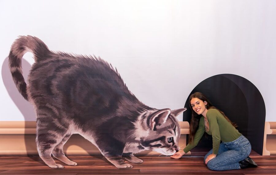 Funchal: 3D Fun Art Museum - Price and Timing: Is $12 Good Value for You?