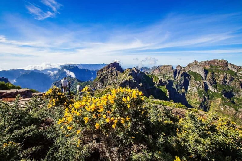 Funchal: 4x4 Jeep Trip to the East and Northeast of Madeira - Nuns Valley and Paredão viewpoints: where the drive turns into the show