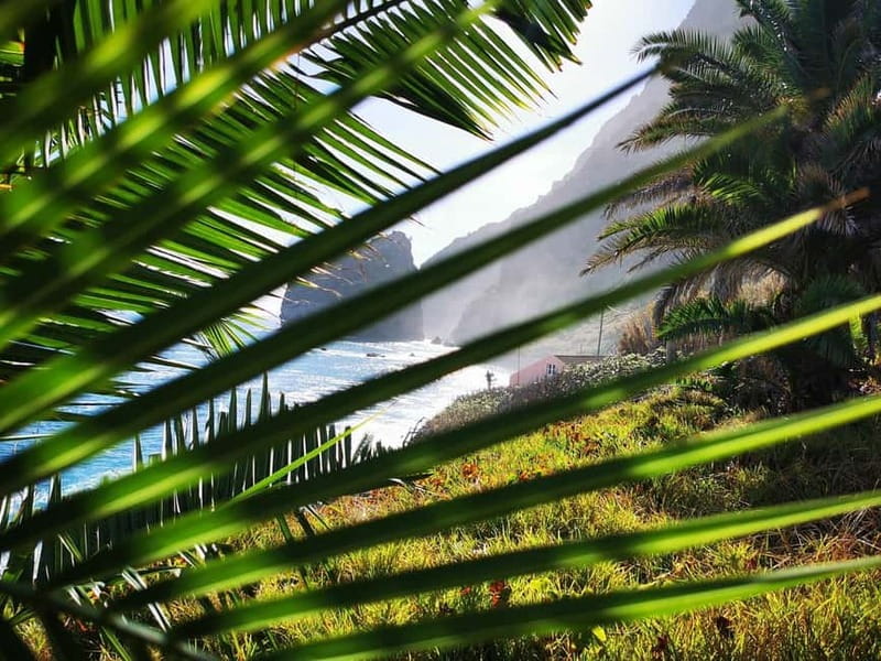 Funchal: 4x4 Jeep Trip to the East and Northeast of Madeira - Ribeiro Frio and the levada walk option: a slower pace in the middle of the day