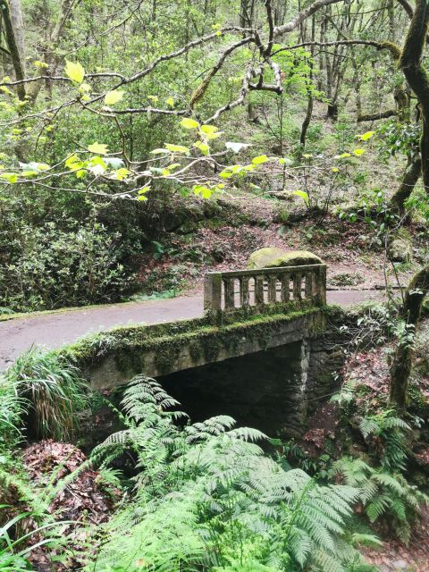 Funchal: 4x4 Jeep Trip to the East and Northeast of Madeira - Lombo Galego, the Royal path: off-road time that turns heads and pulses