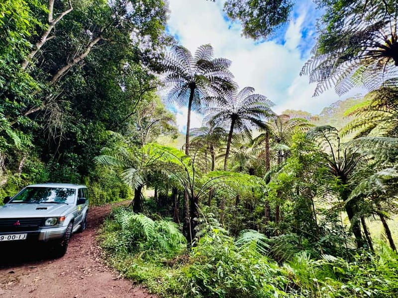 Funchal: 4x4 Jeep Trip to the East and Northeast of Madeira - Getting moving in Funchal, then heading for the viewpoints early