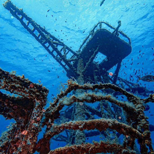 Funchal: Advanced Scuba Diving Afonso Cerqueira Wreck - Inside the hull: engine room and cafeteria spaces