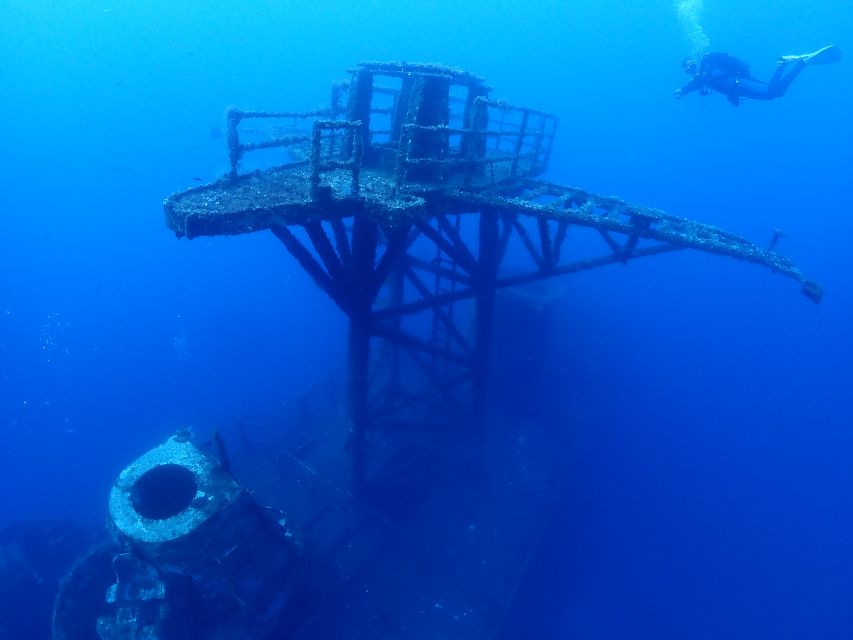 Funchal: Advanced Scuba Diving Afonso Cerqueira Wreck - Marine life on a protected reef: what you’ll actually see