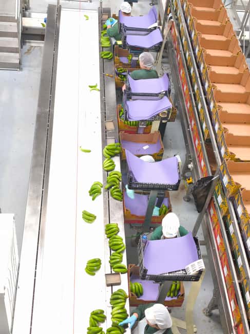 Funchal Agriculture Green Tour - Agriculture School and grafting methods in Madeira