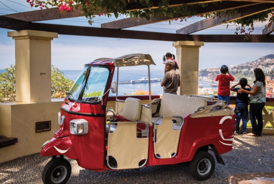Funchal: Best Viewpoints Guided Tuk Tuk Tour - Four viewpoints that give you the bay of Funchal in layers