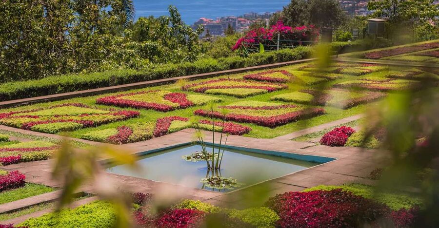 Funchal: Botanical Garden and Old Town Private Tuk-Tuk Tour - Key points before you go