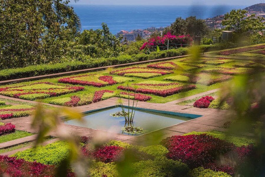Funchal: Botanical Garden and Old Town Private Tuk-Tuk Tour - How the Funchal tuk-tuk gets you where cars cannot