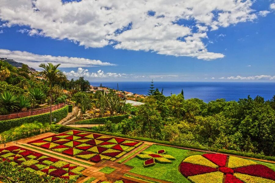 Funchal: Botanical Garden and Old Town Private Tuk-Tuk Tour - Bom Sucesso Botanical Garden: the Bom Sucesso estate and where you pause for photos