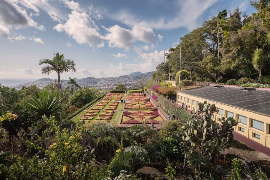 Funchal: Botanical Garden and Old Town Private Tuk-Tuk Tour - Tour pacing in 2 hours: timing, walking, and photo strategy