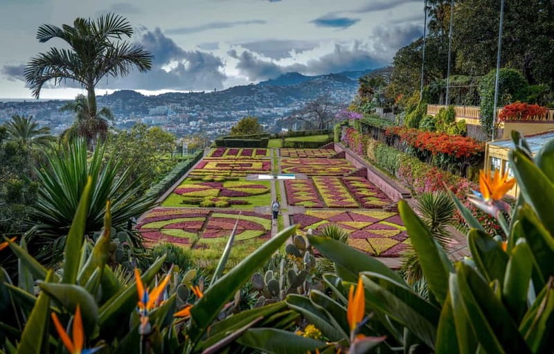 Funchal: Botanical Garden & Old Town Tour by TukTuk (1h45) - First stop: Funchal’s Old Town for orientation