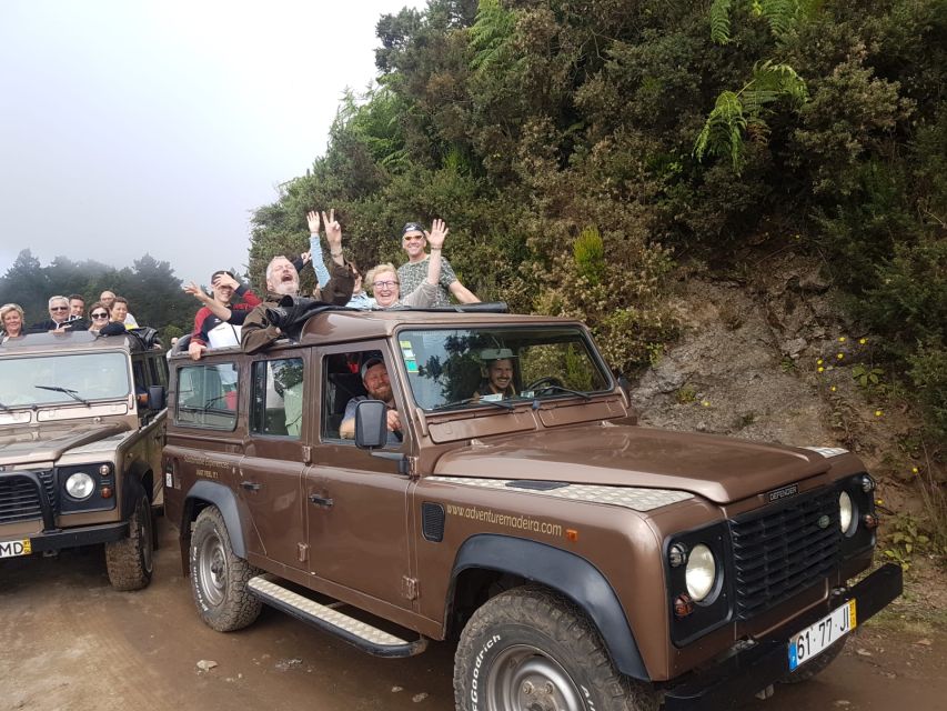 Funchal: Cabo Girão, Wines Tasting and Dolphins Watching - Price and Value: What You Pay for at $104